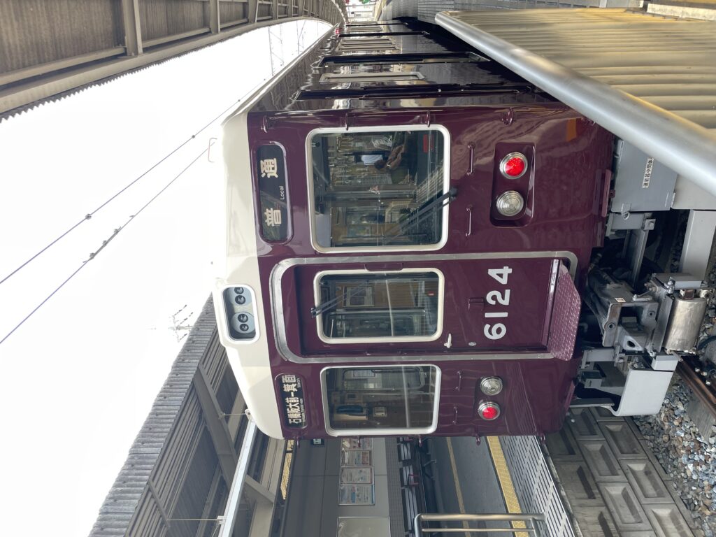 初心者バードウォッチャーin大阪