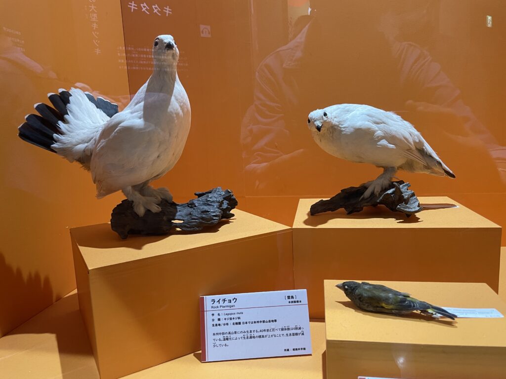 ご予約についての補足です