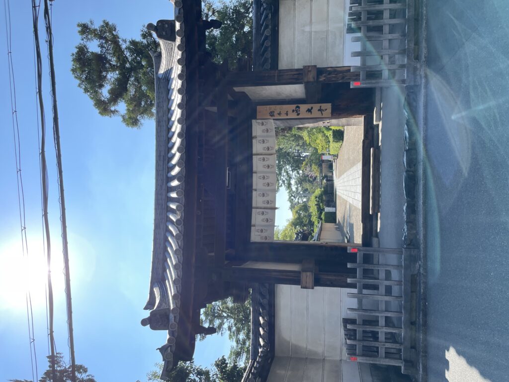 旅立つ夏鳥