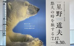 写真家　星野道夫